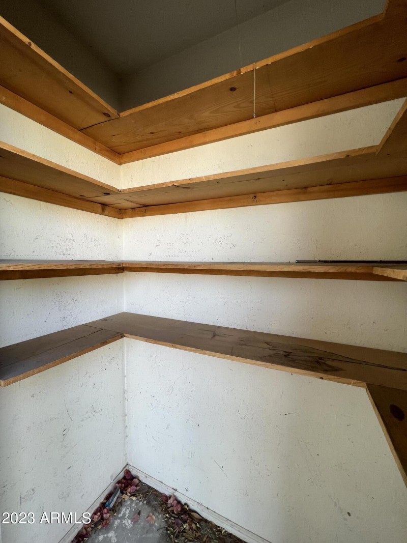 Photo Oct 03 2023, 12 36 37 PM