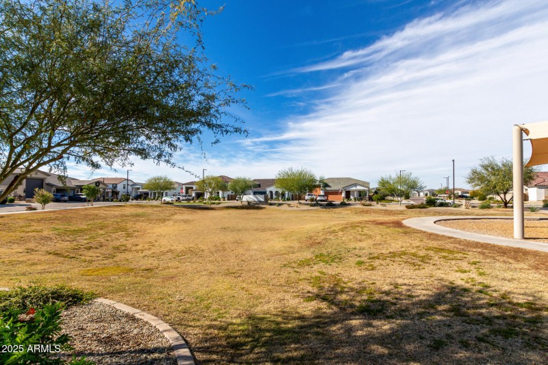 49 - Mariposa Grande 14045