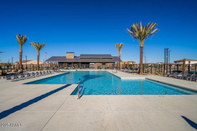 Paradisi Discovery - Community