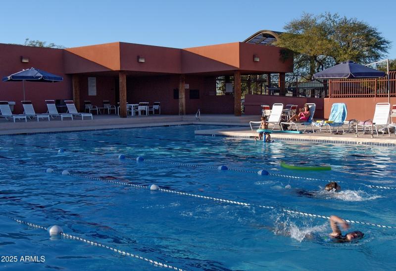 Red Mountain Lap Pool