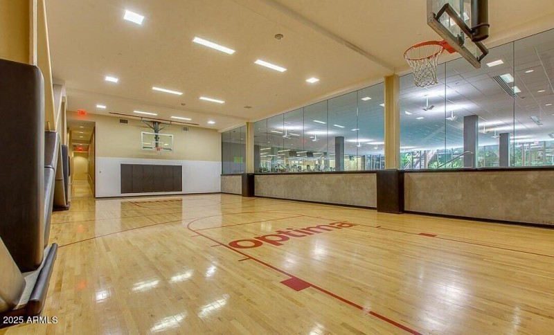 optima camelview basketball