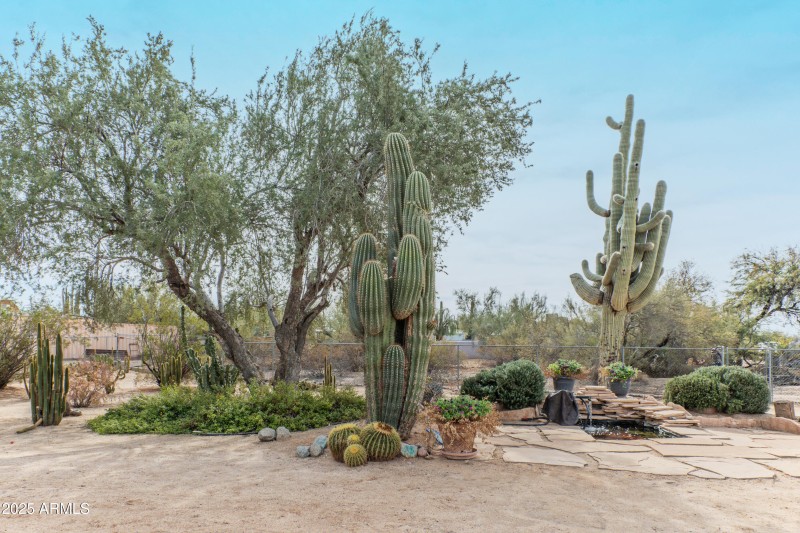 Beautiful mature landscaping