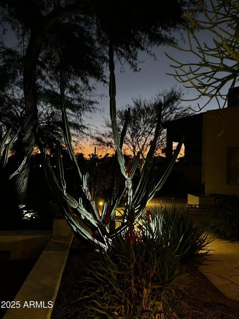 thumbnail_IMG_1513 (1)