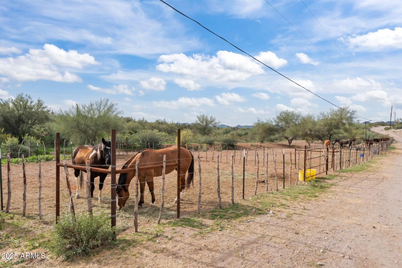 29-web-or-mls-DSC06592