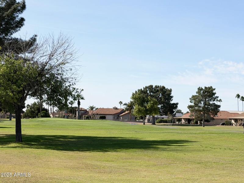 Backyard Golf Course View