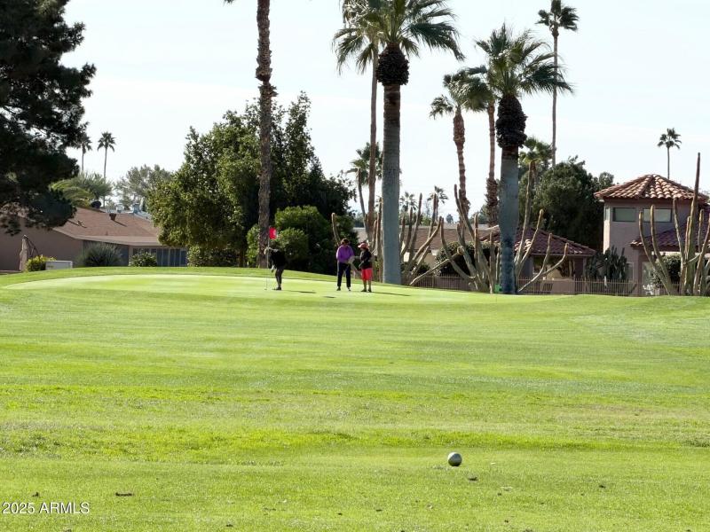 Golfers Putting on 12th Green