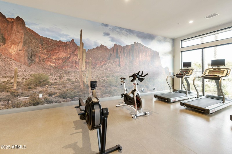 52-web-or-mls-DLB_1386