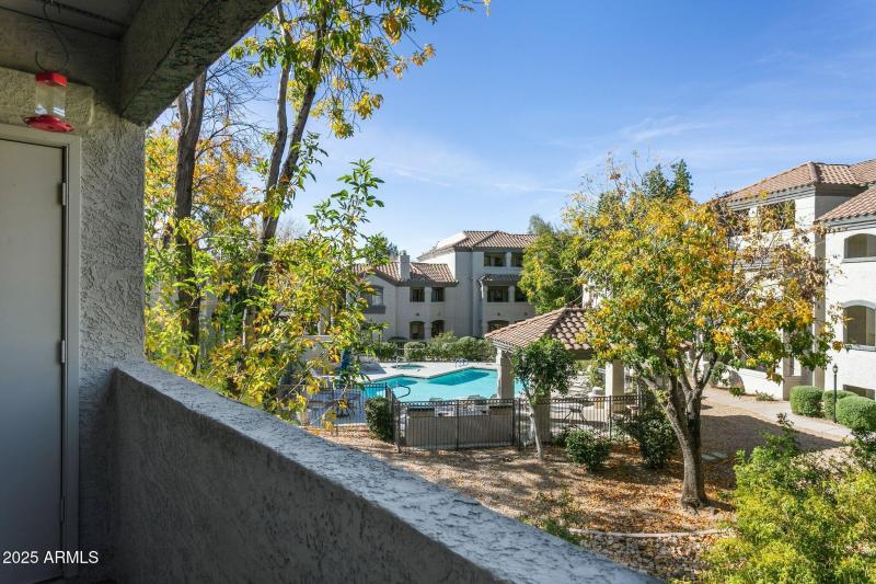 Pool View from the Covered Patio