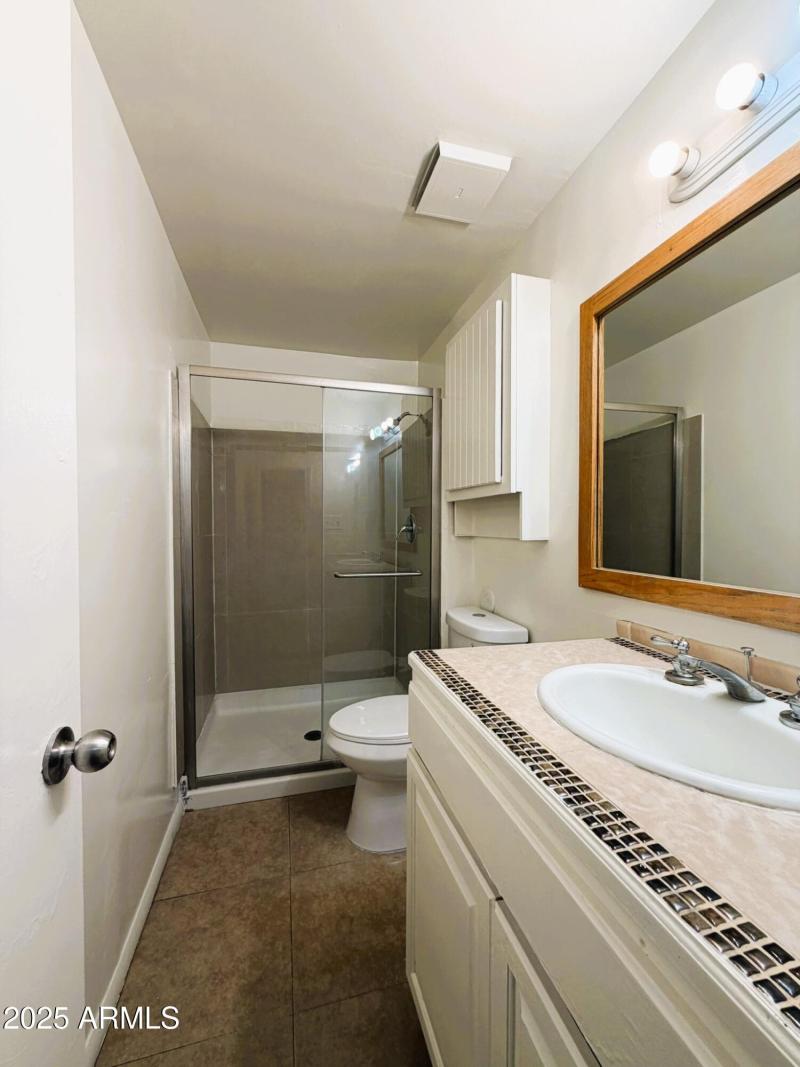 Lower Level Bathroom