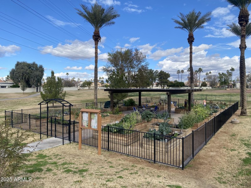 Community Garden
