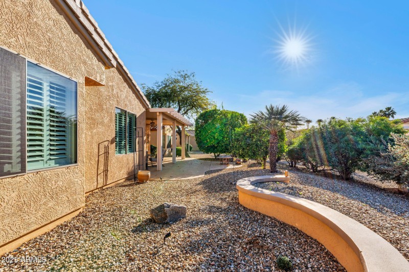 Plant Your Own Desert Flowers