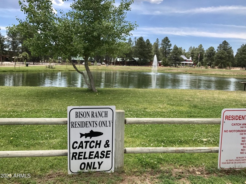 CATCH AND RELEASE FISHING AT THE PARK