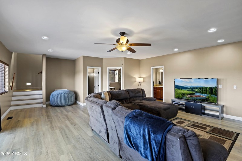 Downstairs Family Room