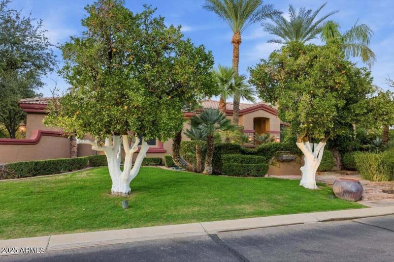 Re_edits_grass_replacement6