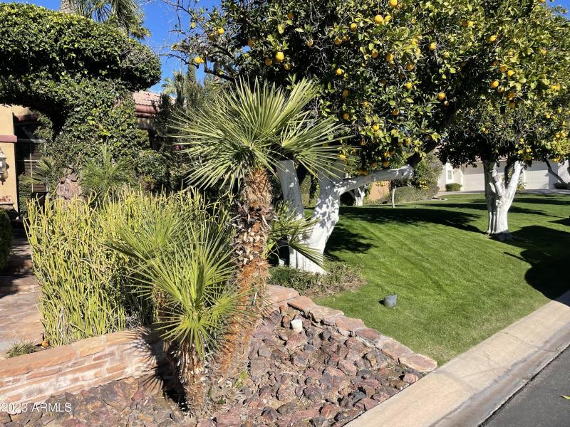 Walking up to front yard