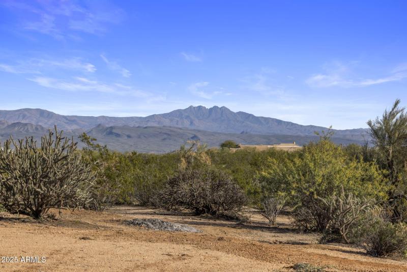 36 VIEWS OVER FOR PEAKS