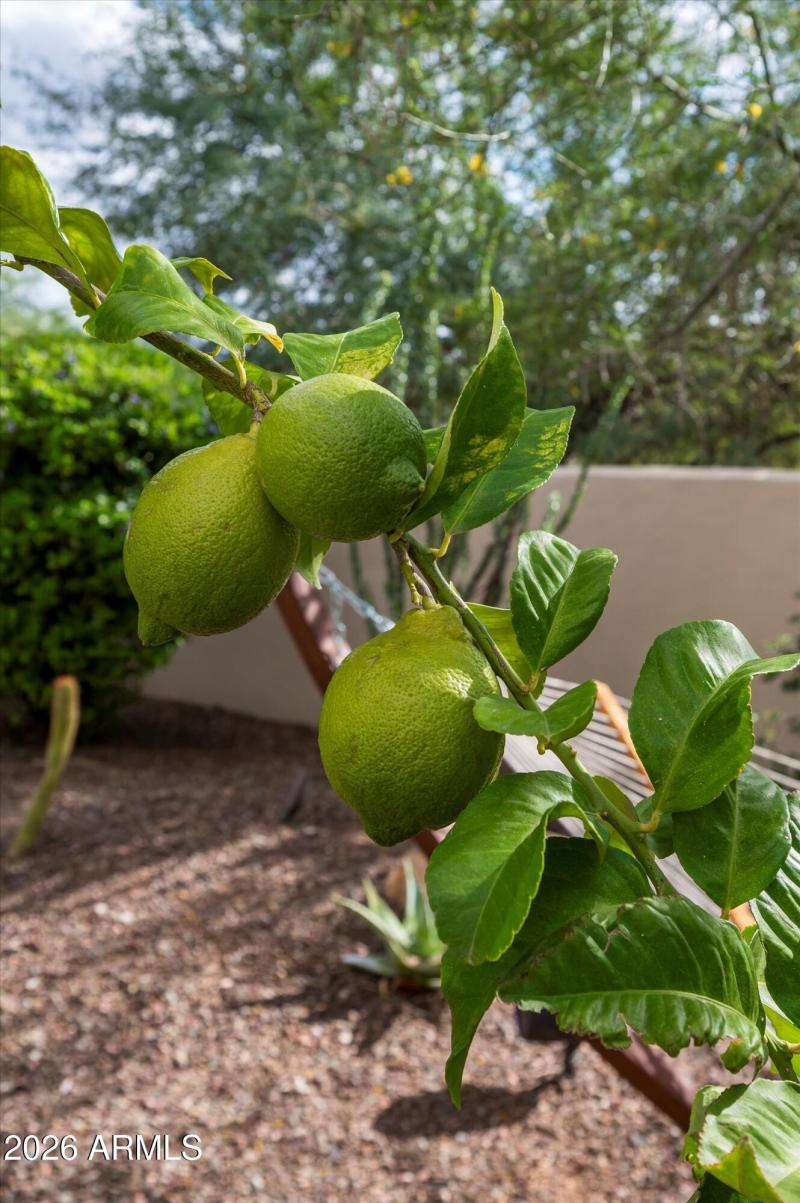 75-7969 E Baker Dr Scottsdale-75