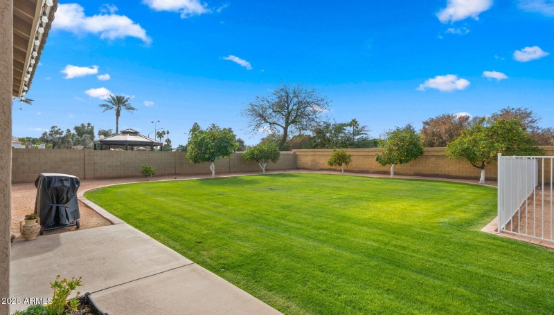 43-web-or-mls-Backyard8