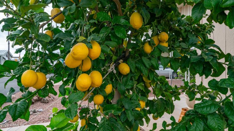 747 E Germann Rd Lot 92-4