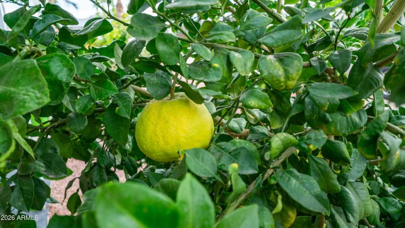 747 E Germann Rd Lot 92-7