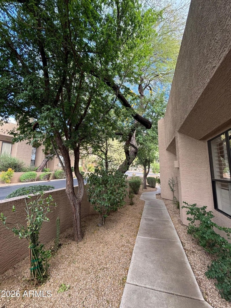 Skye Top 1 Tree lined walkway