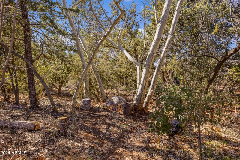 333 Schnebly Hill Rd-15