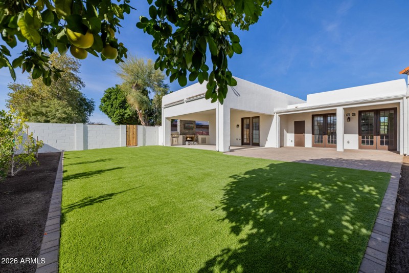 Low Maintanance Yard