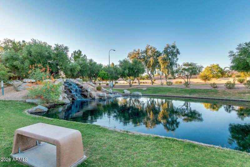 PARKLIKE SETTING IN OCOTILLO