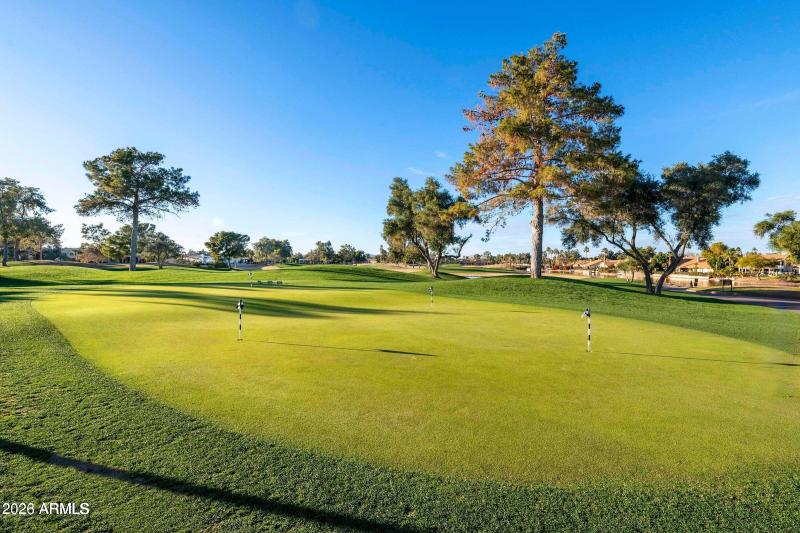 PUTTING GREEN AT OCOTILLO GOLF CLUB