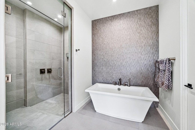 Primary Shower and Tub