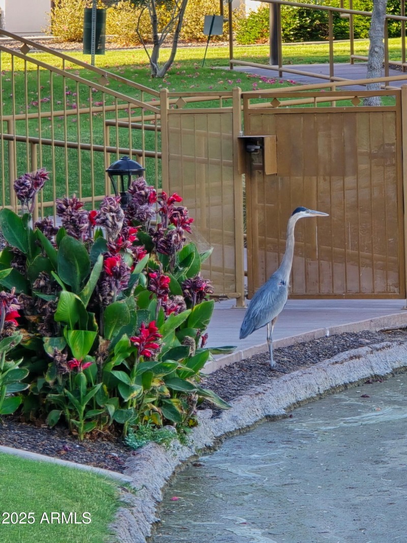 BD01D749-6948-429B-9F1C-465B5FDB1E97