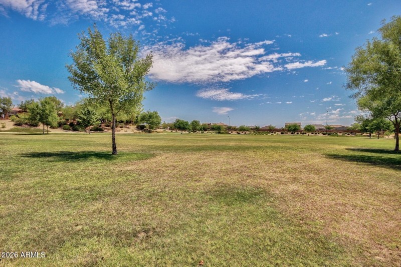 8 Beautiful Cortessa!