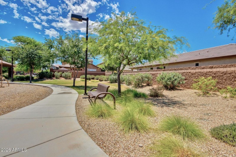 11 Beautiful Cortessa!