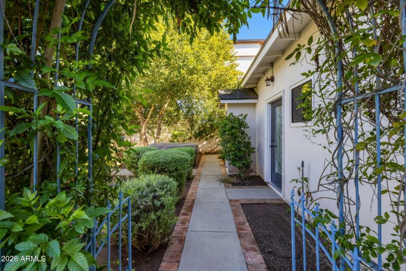 45-web-or-mls-896A7210