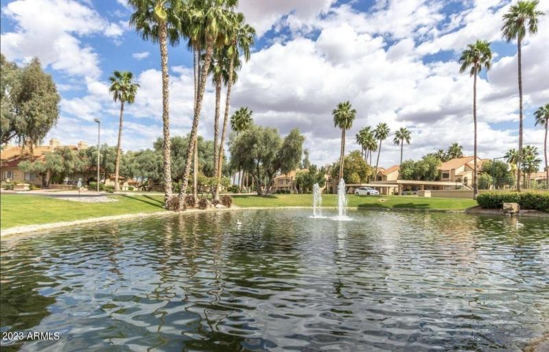 Scenic Lake & Palm Views