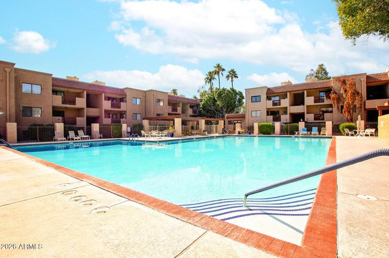 Huge Olympic size pool