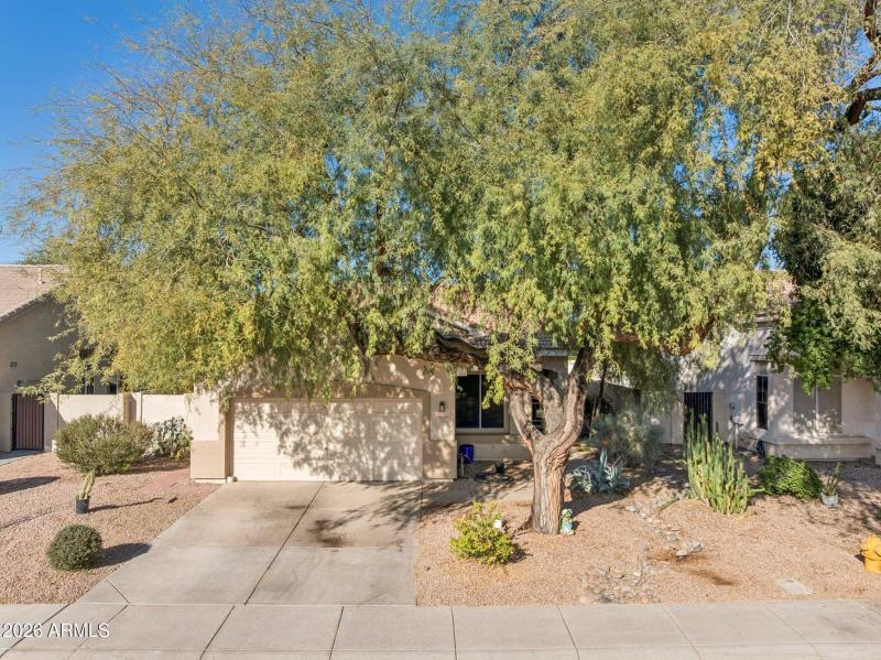 31-web-or-mls-1594-e-megan-st