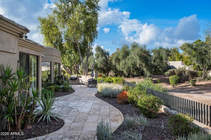 Large, expansive backyard area