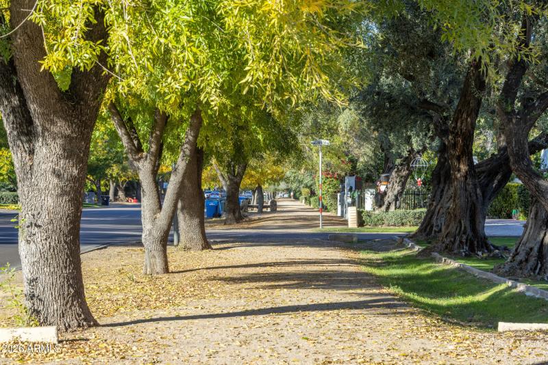 Murphy's Bridle Path