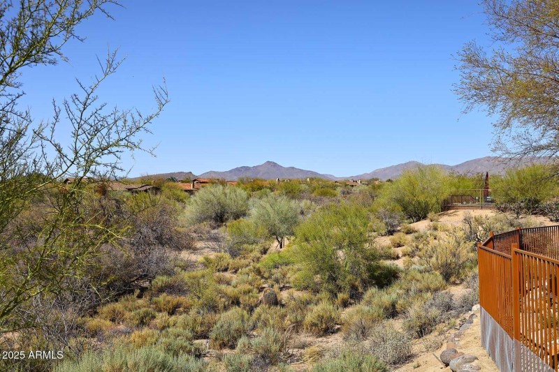 Backyard Mountain View