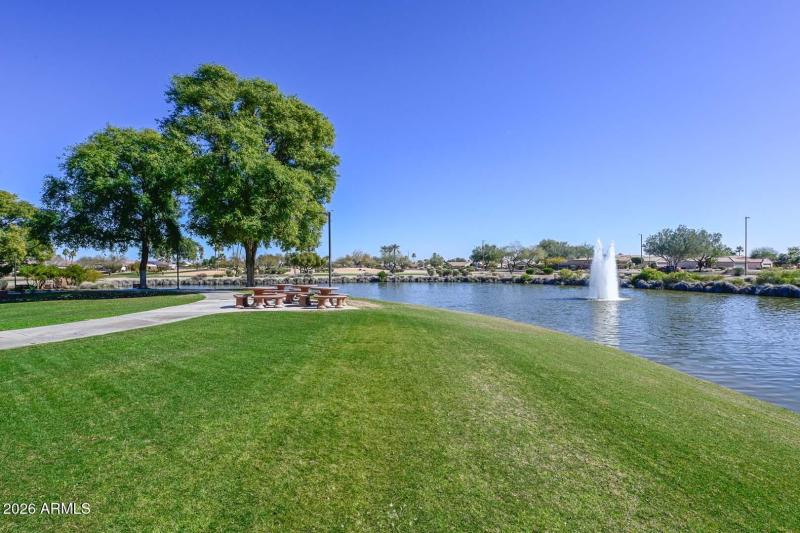 The Grand Picnic Area