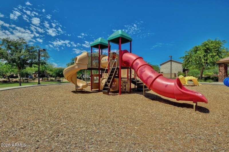 5 Beautiful Cortessa!