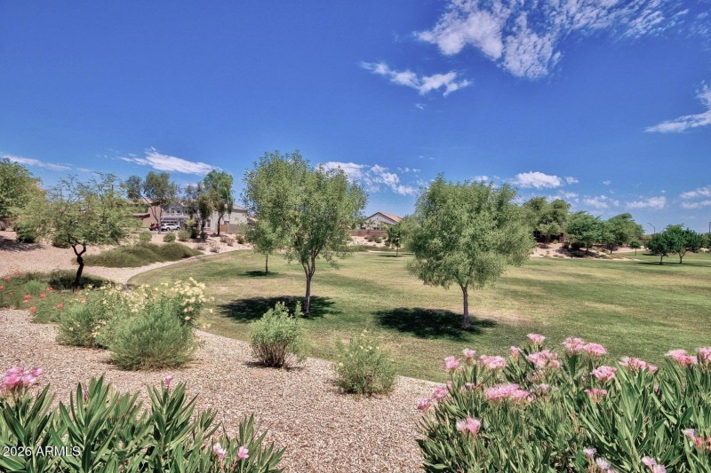 9 Beautiful Cortessa!