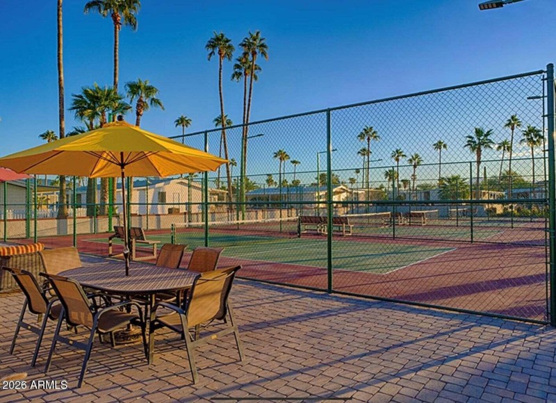 SPORTING AREA HOLIDAY PALMS