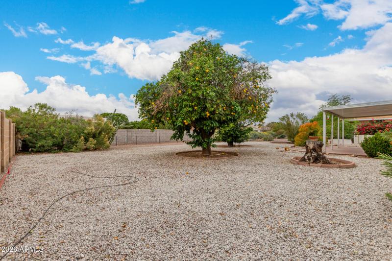 31 - Tumblewood 10431