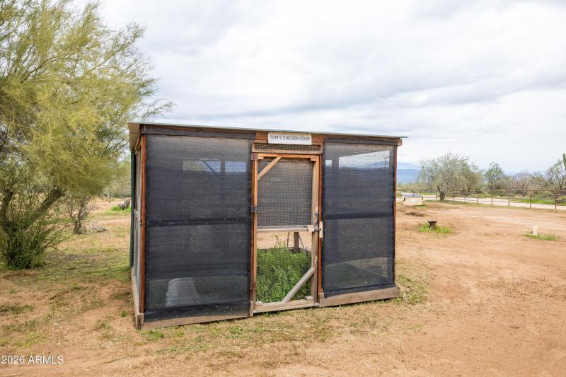 Chicken Coop