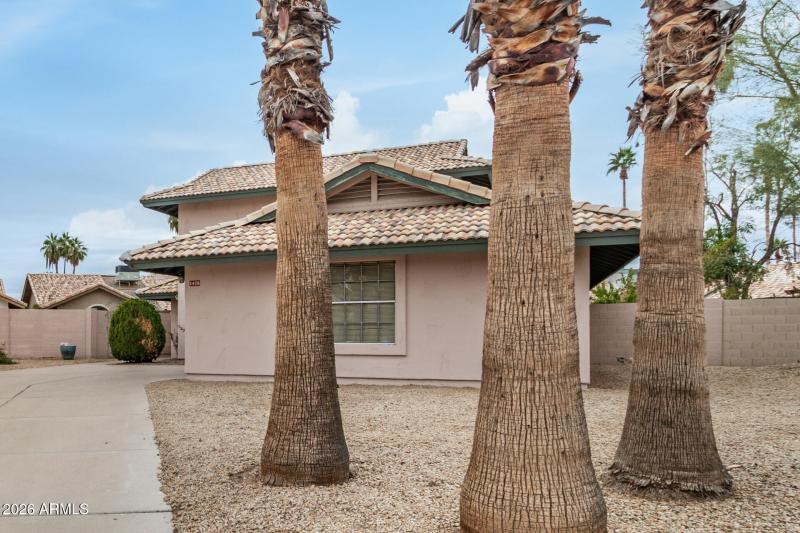 Low maintenance yard