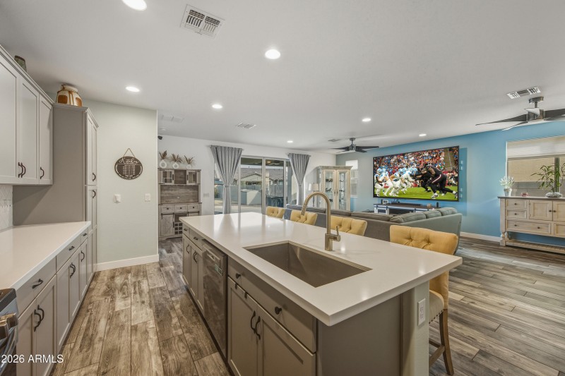 cards lions agave (2)