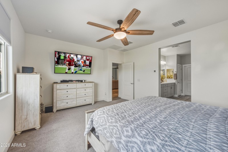 cards lions agave (3)