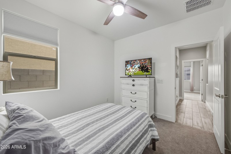 cards lions agave (4)